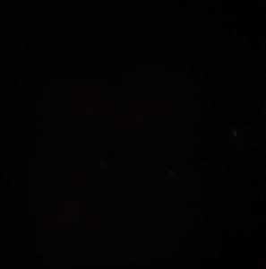 Meet your Posher, Joseph